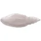 Блюдо shell pearl 41 см - Bronco