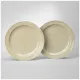 Набор тарелок обеденных Tint 24 см (фисташковый) 2 штуки - Lefard