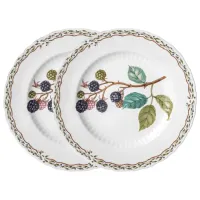 Набор тарелок закусочных Fruit Garden, 2 штуки, 20,5 см – Lefard