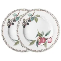 Набор тарелок обеденных Fruit Garden 2 штуки 25,5 см – Lefard
