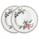 Набор тарелок обеденных Fruit Garden 2 штуки 25,5 см – Lefard