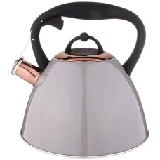 Чайник тюдор со свистком 2.7 л титановое покрытие носика, термоаккумулирующее дно, индукция - Agness
