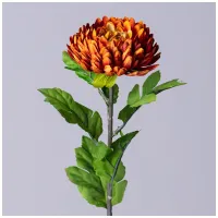 Цветок искусственный астра, длина 58 см, цвет красное дерево – Lefard