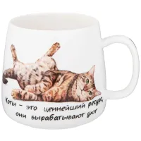 Кружка Бери Кота 400 мл - Lefard