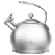Чайник со свистком 3.2 л, термоаккумулирующее дно, 304 сталь - Agness