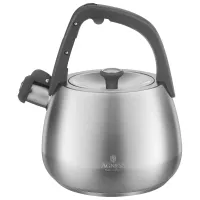 Чайник со свистком 2.5 л, термоаккумулирующее дно, 304 сталь – Agness