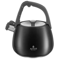 Чайник со свистком 2.5 л, термоаккумулирующее дно, 304 сталь, индукция - Agness