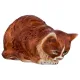 Декоративное изделие персидская кошка 29*14 см высота=15 см - Ceramiche Boxer