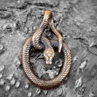 Змея, бронза, 42*26мм (СП 047) BV07-47