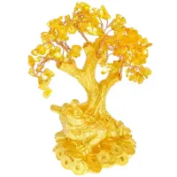 Денежное дерево с цетрином на Жабе 16см V027-1