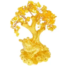 Денежное дерево с цетрином на Жабе 16см V027-1