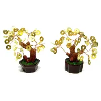 Денежное дерево 13см V019-1