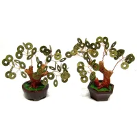 Денежное дерево 13см V019-2