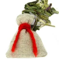 Травяной оберег «Внутренняя сила» Эхинацея TM038