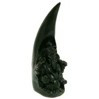 Ганеш в роге R210