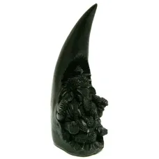 Ганеш в роге R210