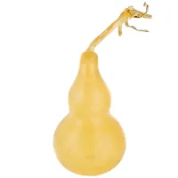 Тыква-горлянка (плод) 10-12 см E151-4