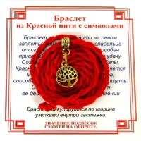 Браслет красный витой на Развитие (Дерево Жизни),цвет золот, металл, текстиль AV0511