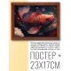 Постер в рамке 22х17см Рыба POSG-0208