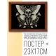 Постер в рамке 22х17см Мотылек мертвая голова POSG-0217