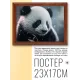 Постер в рамке 22х17см Панда POSG-0232