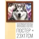 Постер в рамке 22х17см Хаски POSG-0249