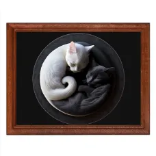 Постер в рамке 22х17см Коты Инь-Ян POSG-0260