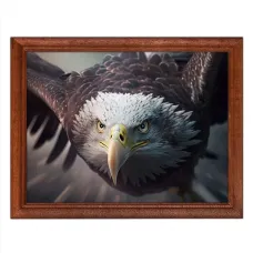 Постер в рамке 22х17см Орел POSG-0278