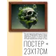 Постер в рамке 22х17см Череп POSG-0279