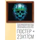Постер в рамке 22х17см Череп POSG-0281