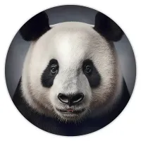 Коврик для мыши Панда, d.20см KM0357