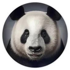 Коврик для мыши Панда, d.20см KM0357
