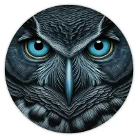 Коврик для мыши Сова, d.20см KM0373