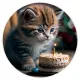 Коврик для мыши Котенок день рождения, d.20см KM0402