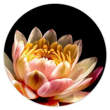 Коврик для мыши Лотос, d.20см KM0893