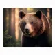 Коврик для мыши 22х18см Медведь KMP335