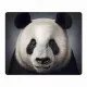 Коврик для мыши 22х18см Панда KMP337