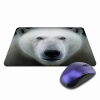 Коврик для мыши 22х18см Белый медведь KMP338
