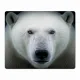 Коврик для мыши 22х18см Белый медведь KMP338