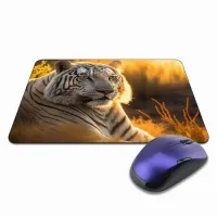 Коврик для мыши 22х18см Белый тигр KMP390