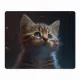 Коврик для мыши 22х18см Котенок KMP394