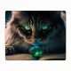 Коврик для мыши 22х18см Кот и книга KMP396