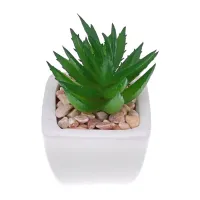 Искусственное растение Суккулент в горшке, 8х5,5х5х5см TCV038-08