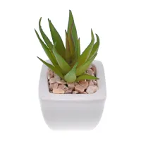 Искусственное растение Суккулент в горшке, 9,5х5,5х5х5см TCV038-11