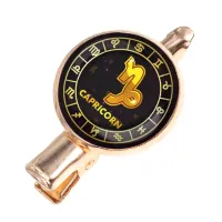 Заколка Знаки Зодиака - Козерог HZF-0033
