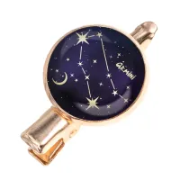 Заколка Знаки Зодиака - Близнецы HZF-0307