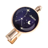 Заколка Знаки Зодиака - Рак HZF-0308