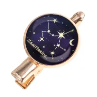 Заколка Знаки Зодиака - Стрелец HZF-0313