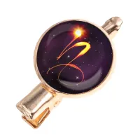 Заколка Знаки Зодиака - Козерог HZF-0326