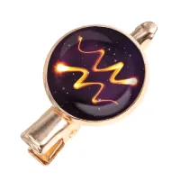 Заколка Знаки Зодиака - Водолей HZF-0327